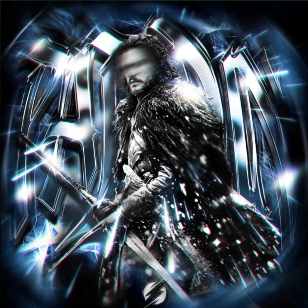 PALADIN Artwork